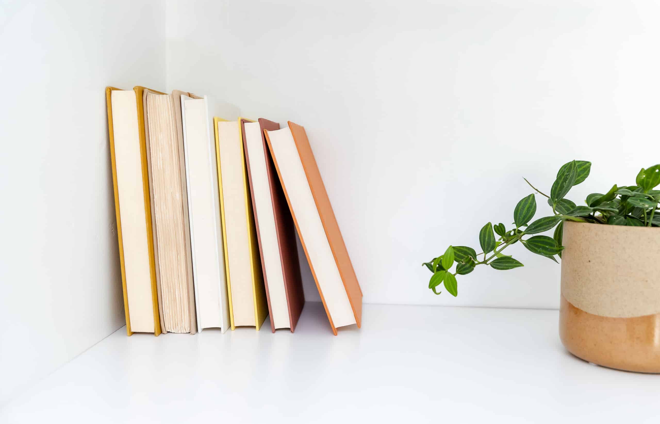 books on desk with plant - how to earn money from home