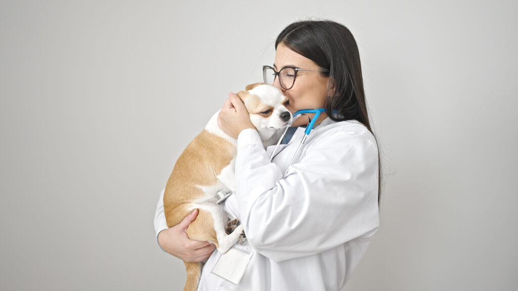 veterinarian fun jobs that pay 6 figures