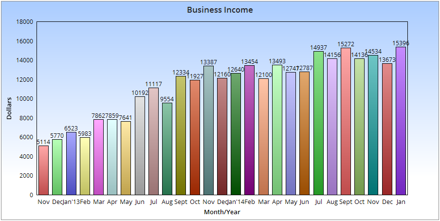 $15,396 January Income – My Monthly Online Income Report Chart