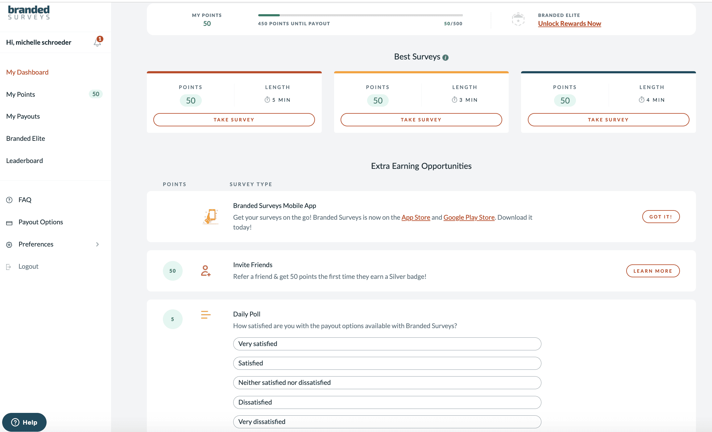 Picture of Branded Surveys dashboard when you first sign up
